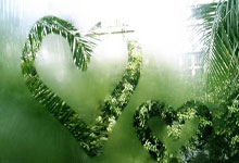 九游app-转会期CBA常规赛传出新动向，北京首钢状态回暖，管理层表态：球迷炸锅，训练强度明显提升的简单介绍-九游app